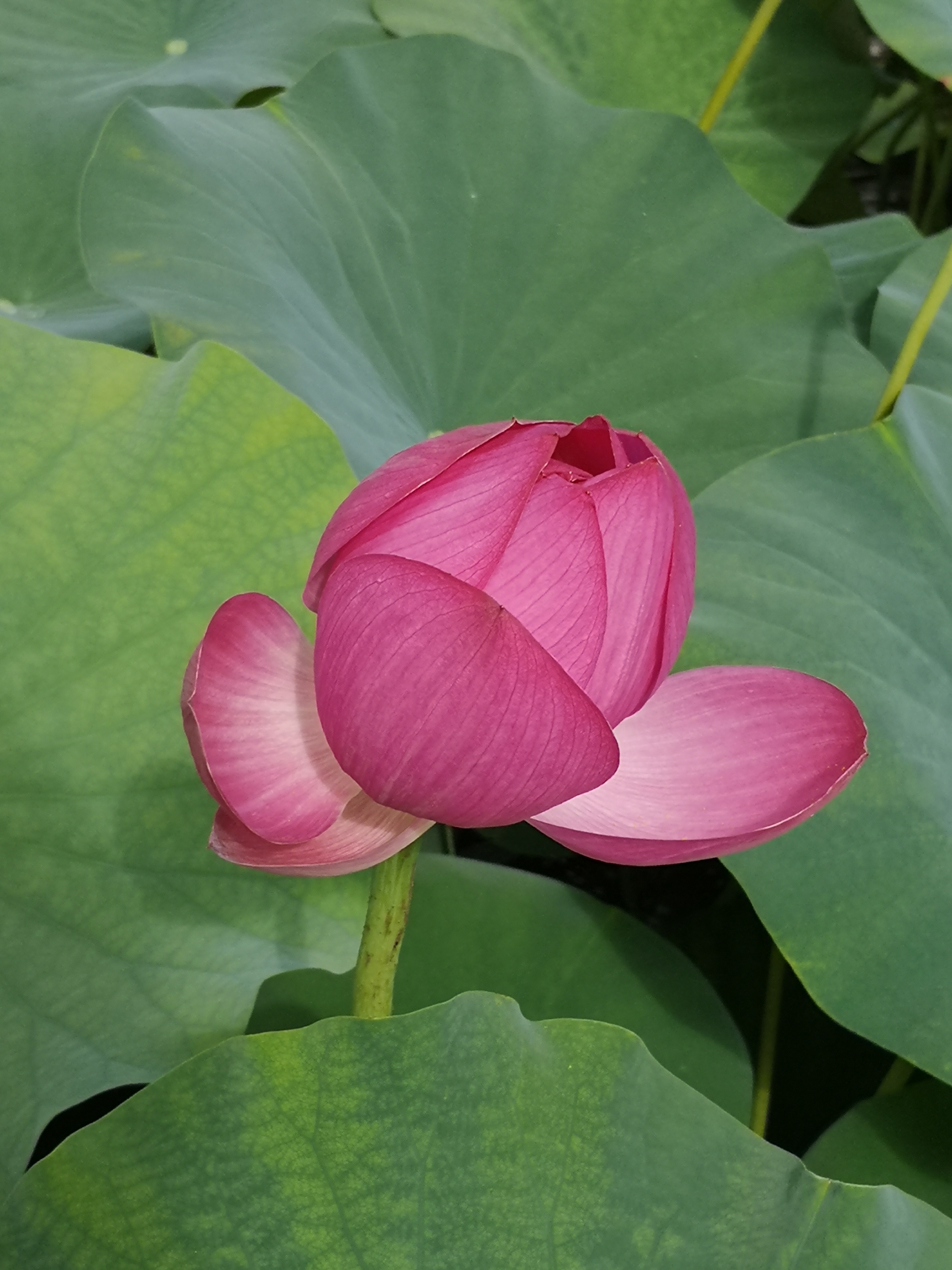 Photo n° 5 de l'avis de Mallory.e fait le 24/08/2020 à 06:08