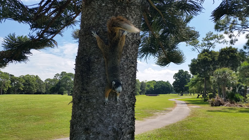 Country Club «Palmetto-Pine Country Club», reviews and photos, 1940 SW 9th Ct, Cape Coral, FL 33991, USA