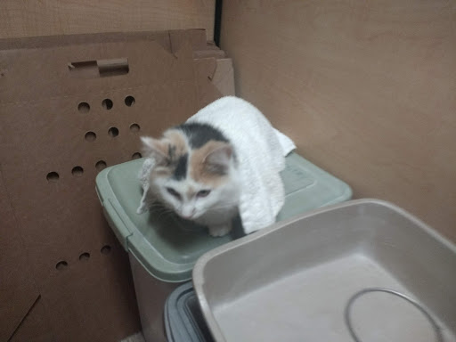 Pet Supply Store «PetSmart», reviews and photos, 16086 Jackson Creek Pkwy, Monument, CO 80132, USA