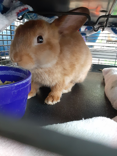 Tropical Fish Store «Animal House Pet Shop», reviews and photos, 358 Warner Milne Rd #110, Oregon City, OR 97045, USA