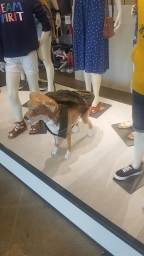 Clothing Store «Old Navy», reviews and photos, 697 Hillside Avenue, New Hyde Park, NY 11040, USA