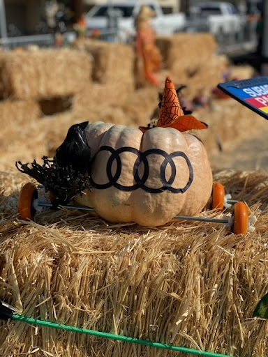 Audi Pacific image