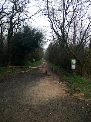 Forêt de Sainte-Gemme-la-Plaine à Sainte-Gemme-la-Plaine