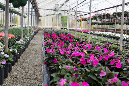 West Hills Greenhouses, Inc.