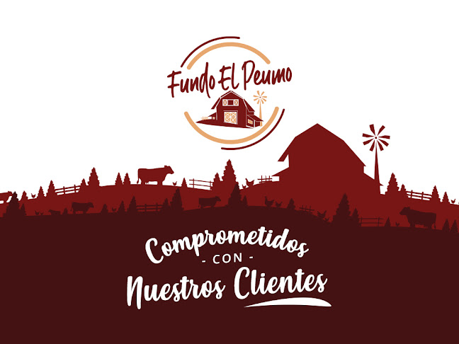 Fundo El Peumo Suc 67 Vega Monumental - Concepción