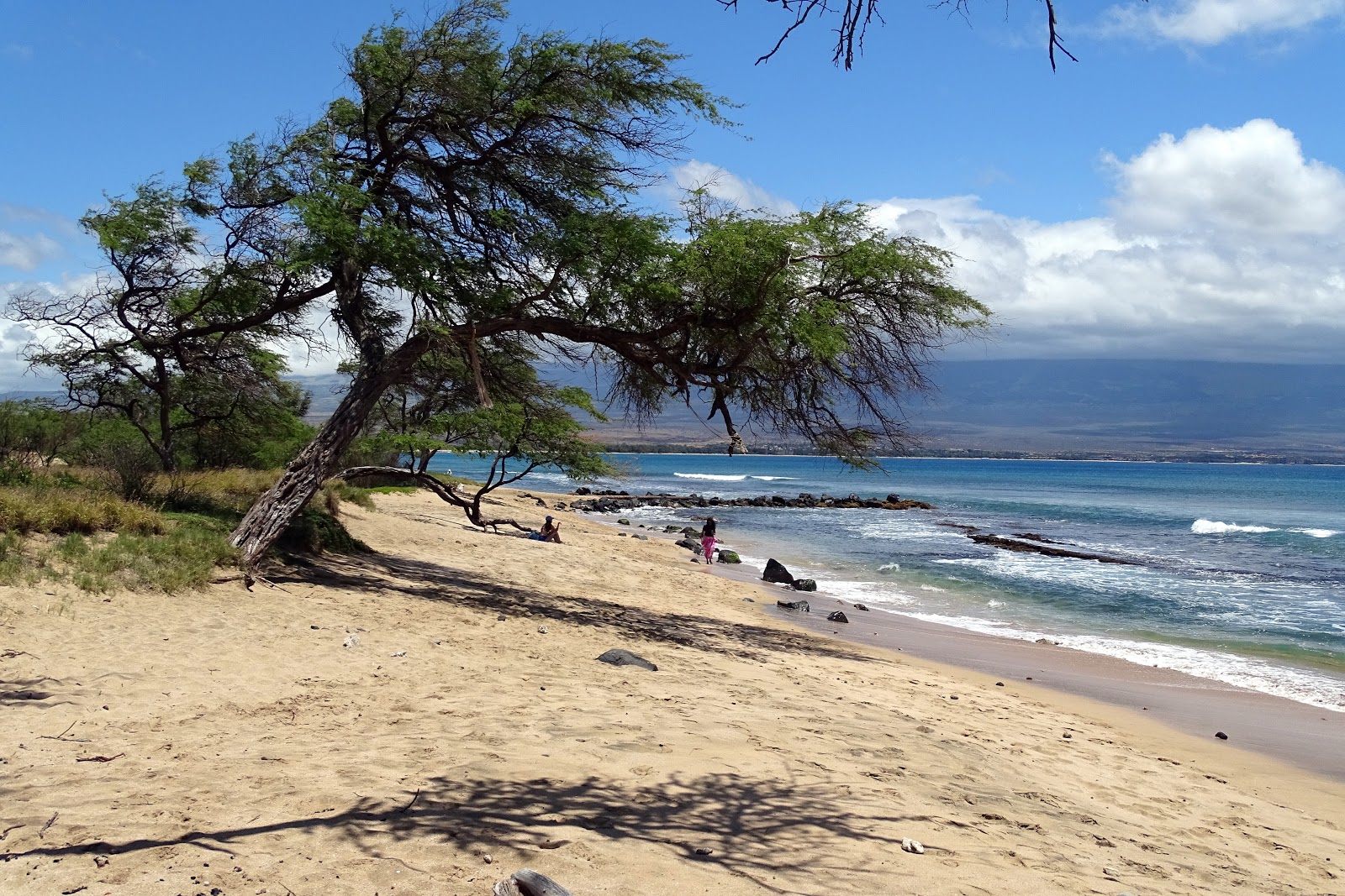 Foto di Coast Guard Beach e l'insediamento