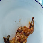 Photo n°1 de l'avis de Francesco.c fait le 05/06/2021 à 17:38 sur le  Bar ristorante Genziana à Lamen