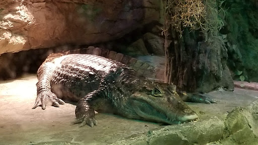 Aquarium «SEA LIFE Minnesota Aquarium», reviews and photos, 120 E Broadway, Bloomington, MN 55425, USA