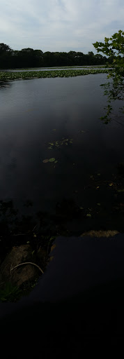 Nature Preserve «Twin Lakes Preserve», reviews and photos, Park Ave, Wantagh, NY 11793, USA