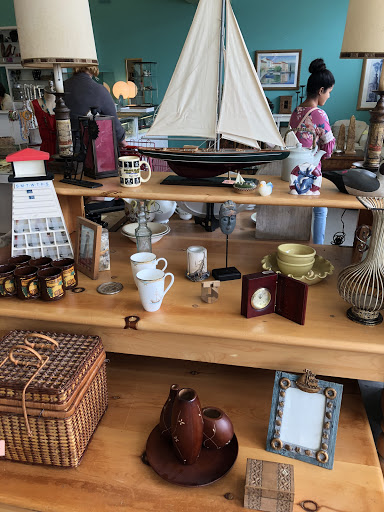 Thrift Store «Humane Society Thrift Store», reviews and photos, 4445 20th St, Vero Beach, FL 32966, USA