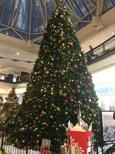 Computer Store «Apple Solomon Pond Mall», reviews and photos, 601 Donald Lynch Blvd, Marlborough, MA 01752, USA