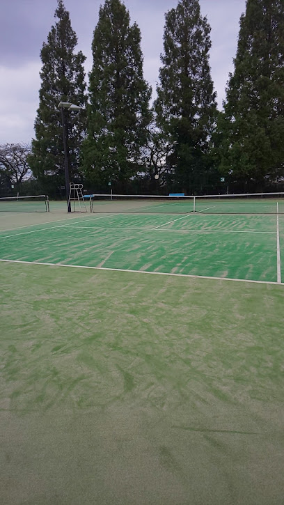 仙元山公園テニスコート
