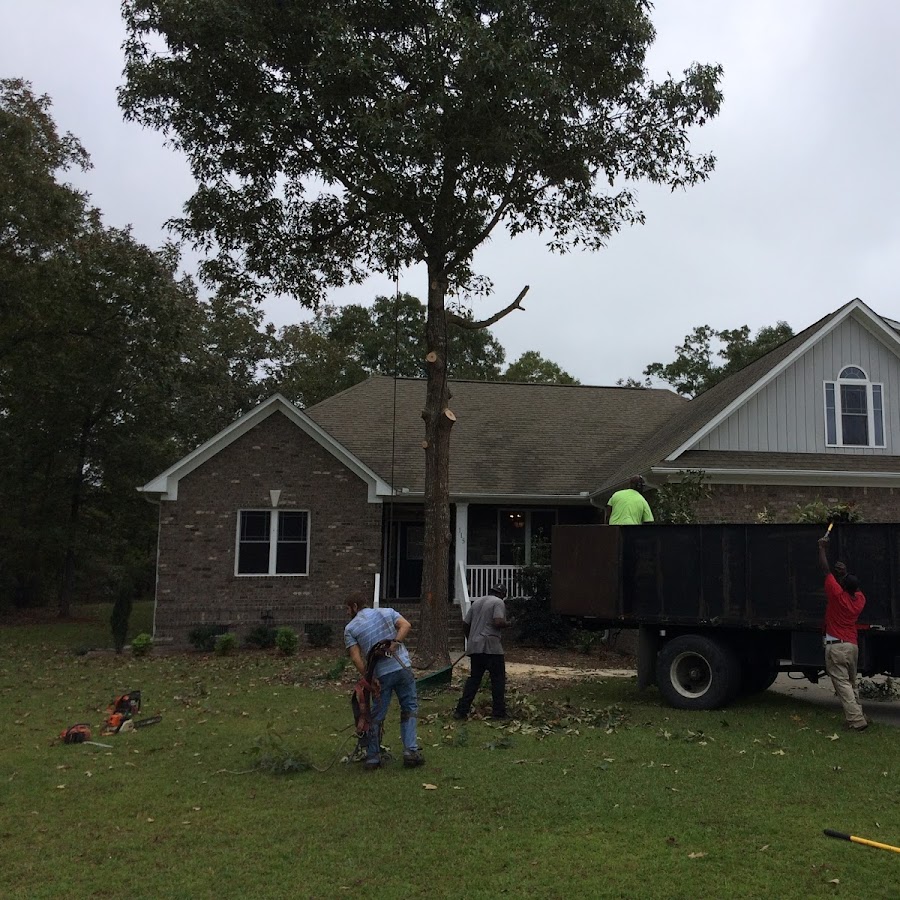 Tree Stump Grinding Services Emerald Isle, NC