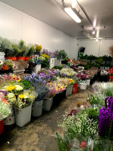 Florist «The Flower Place», reviews and photos, 860 NE 79th St, Miami, FL 33138, USA