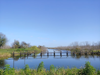 Lake Apopka Restoration Area