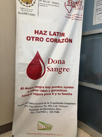 Centro Estatal de Transfusion Sanguinea