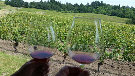 Winery «Elk Cove Vineyards», reviews and photos, 27751 NW Olson Rd, Gaston, OR 97119, USA