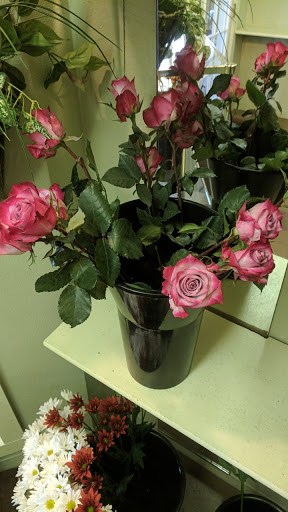 Florist «Jasmine Flowers & Gifts», reviews and photos, 1722 E Bijou St, Colorado Springs, CO 80909, USA