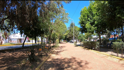 Circuito Deportivo, San Felipe
