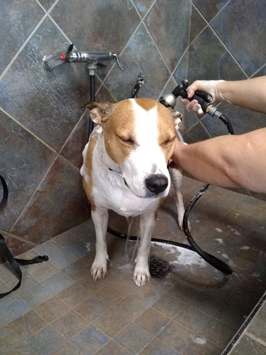 Pet Store «Pet Valu», reviews and photos, 604 Plaza Dr, Newark, DE 19702, USA