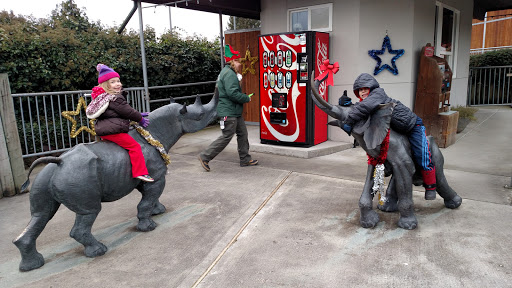 Zoo «Cougar Mountain Zoo», reviews and photos, 19525 SE 54th St, Issaquah, WA 98027, USA