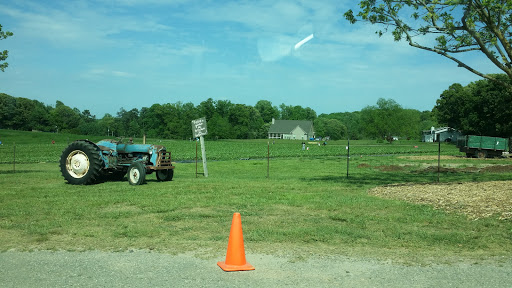 Farm «Warbington Farms (U-Pick Strawberries)», reviews and photos, 5555 Crow Rd, Cumming, GA 30041, USA