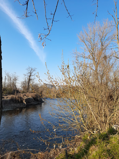 Fiume Lambro Meridionale