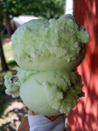 Farm «B & B Flower Farm», reviews and photos, 668 Jones Hill Rd, West Haven, CT 06516, USA