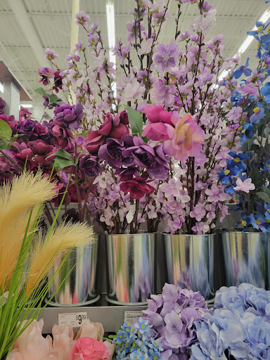 Craft Store «Michaels», reviews and photos, 1700 Deming Way #120, Middleton, WI 53562, USA