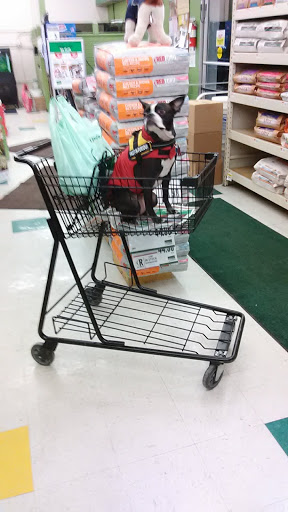 Pet Supply Store «Pet Supplies Plus», reviews and photos, 555 Scott St, Wilkes-Barre, PA 18702, USA