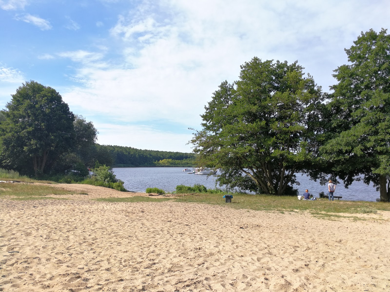 Weisser Strand Flakensee'in fotoğrafı turkuaz saf su yüzey ile