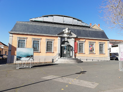 Musée Paul-Dini de Villefranche-sur-Saône