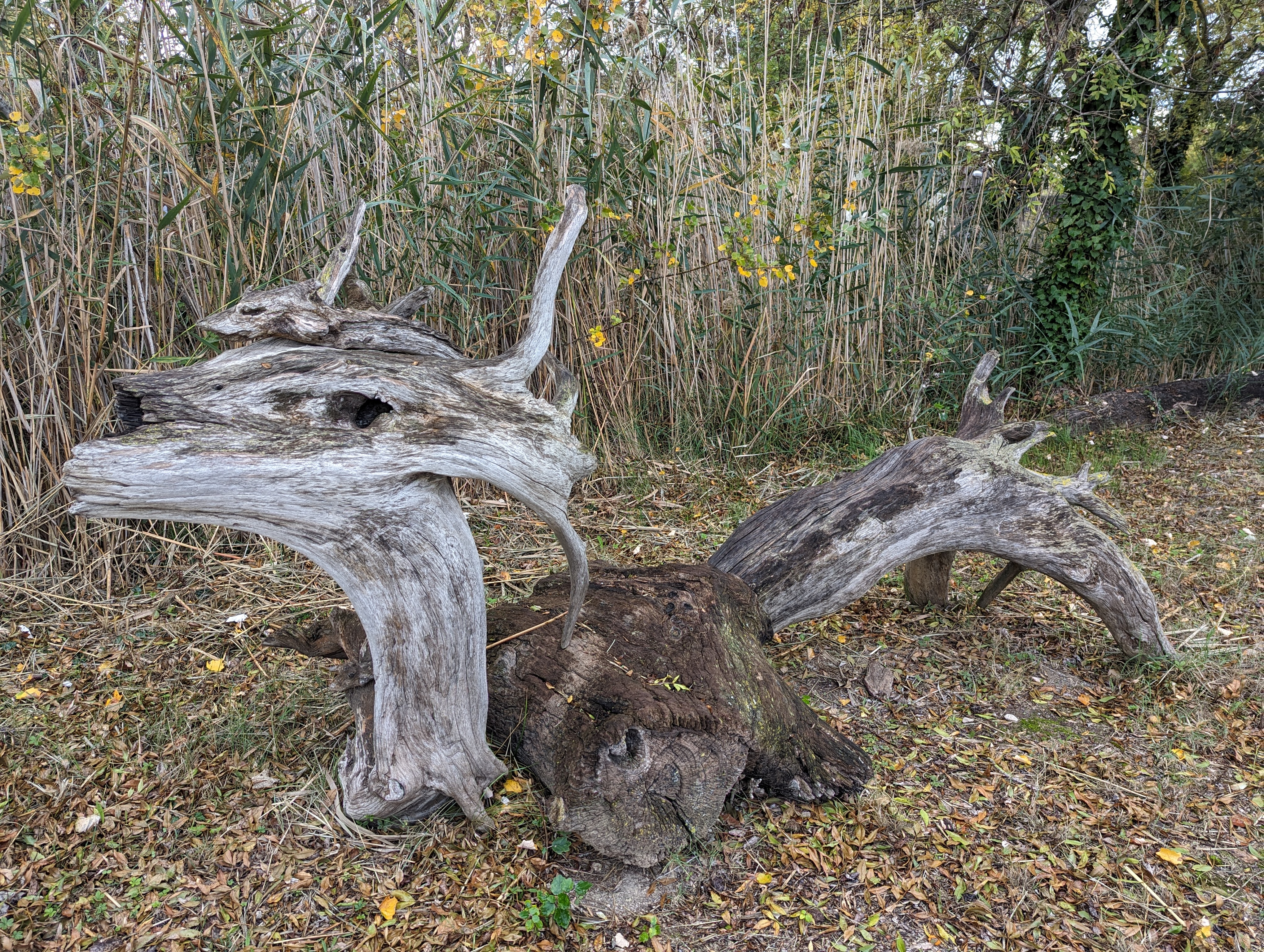 Photo n° 1 de l'avis de Élé.e fait le 02/11/2023 à 15:47