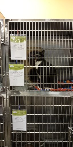 Pet Supply Store «PetSmart», reviews and photos, 2784 Wilma Rudolph Blvd, Clarksville, TN 37040, USA