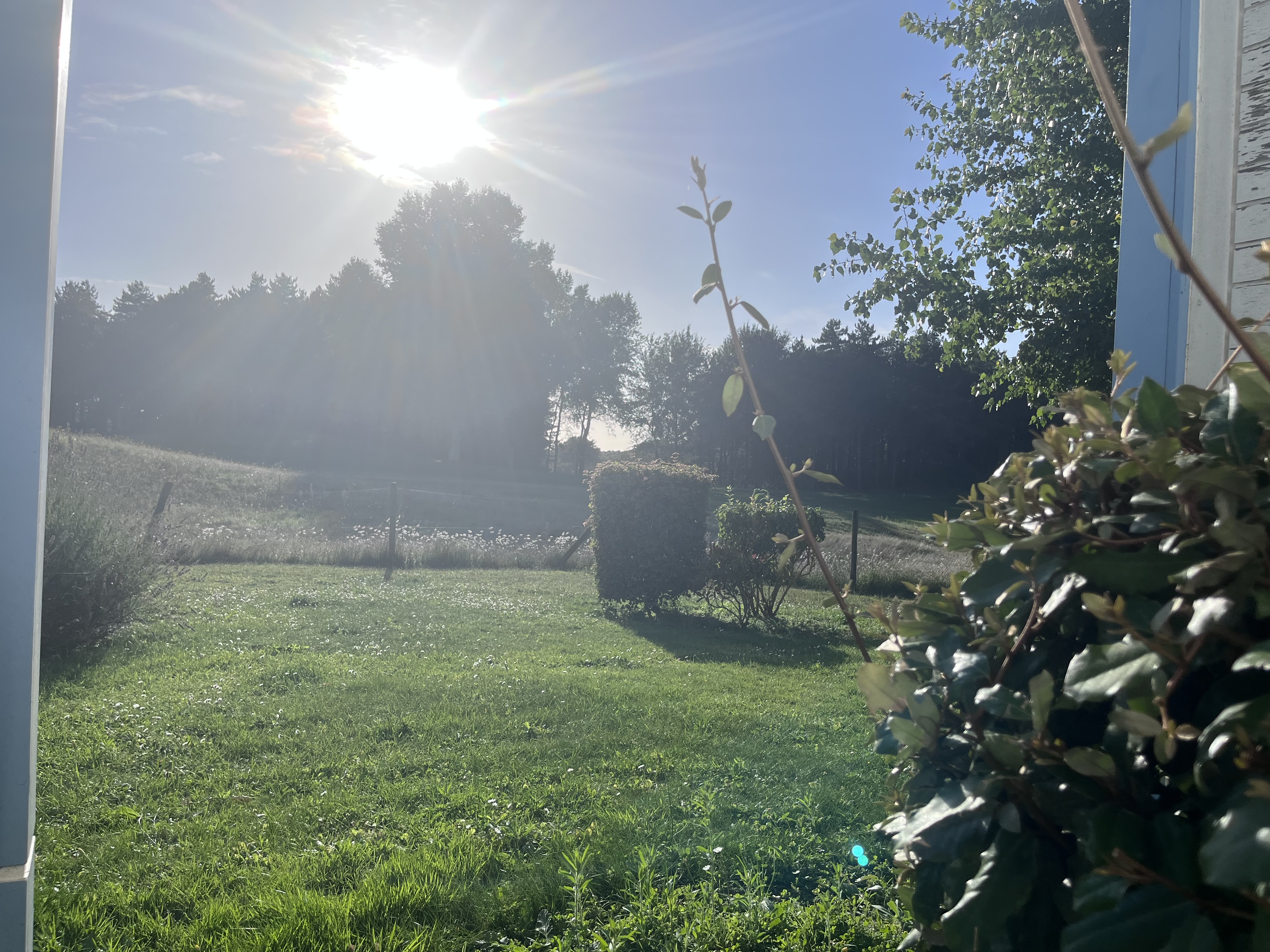 Photo n° 7 de l'avis de Marie-Laure.E fait le 16/09/2023 à 14:17