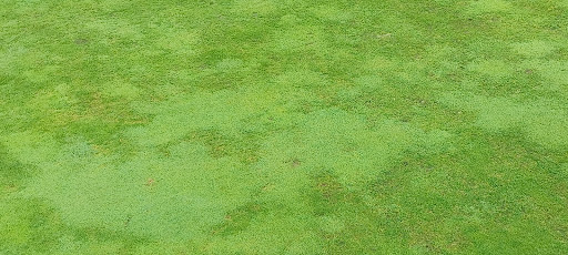 Golf Club «Fox Hollow Golf Club», reviews and photos, 2020 Trumbauersville Rd, Quakertown, PA 18951, USA