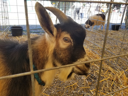 Ski Resort «Shawnee Mountain Ski Area», reviews and photos, 401 Hollow Rd, East Stroudsburg, PA 18301, USA