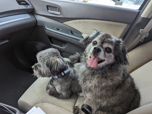Petco image