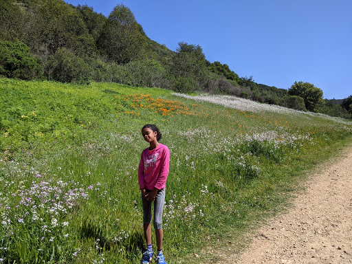 Nature Preserve «Leona Canyon Regional Open Space Preserve», reviews and photos, Leona Trail, Oakland, CA 94605, USA