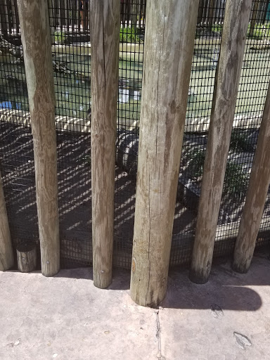 Theme Park «Fun Spot America Theme Parks-Orlando», reviews and photos, 5700 Fun Spot Way, Orlando, FL 32819, USA