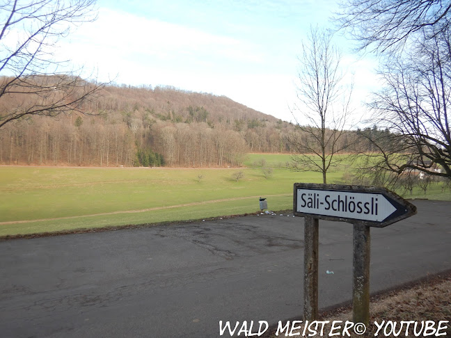 Rezensionen über Wegweiser-Parkplatz-Säli-Schlössli in Oftringen - Parkhaus