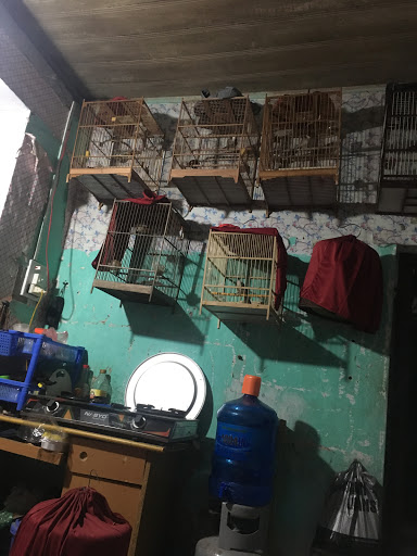 Top 20 chuỗi cửa hàng kepal Quận Hà Đông Hà Nội 2022