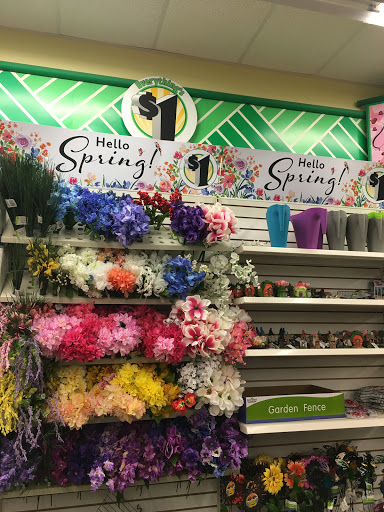 Dollar Store «Dollar Tree», reviews and photos, 1780 Tilden Ridge Dr, Hamburg, PA 19526, USA