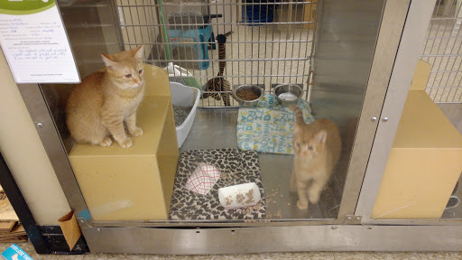 Pet Supply Store «PetSmart», reviews and photos, 310 NJ-36, West Long Branch, NJ 07764, USA