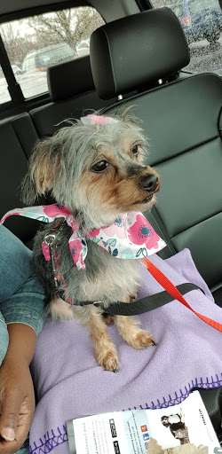 Pet Supply Store «PetSmart», reviews and photos, 5 Main St, East Hartford, CT 06118, USA