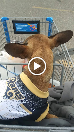 Department Store «Walmart Supercenter», reviews and photos, 12900 W Thunderbird Rd, El Mirage, AZ 85335, USA