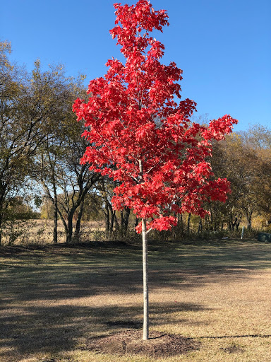 Winery «Eden Hill Winery and Vineyard», reviews and photos, 4910 Eden Hill Ln, Celina, TX 75009, USA