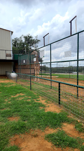 Zoo «The Exotic Resort Zoo», reviews and photos, 235 Zoo Trail, Johnson City, TX 78636, USA
