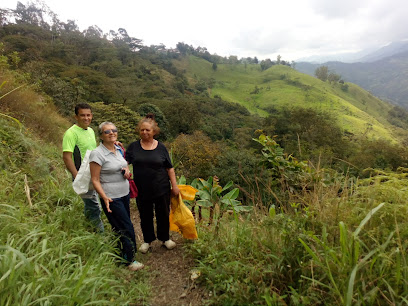 Zona Comercial - Guaduas, Cundinamarca, Colombia