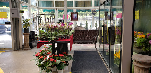 Garden Center «Repetto Florist and Nursery», reviews and photos, 12331 San Mateo Rd, Half Moon Bay, CA 94019, USA